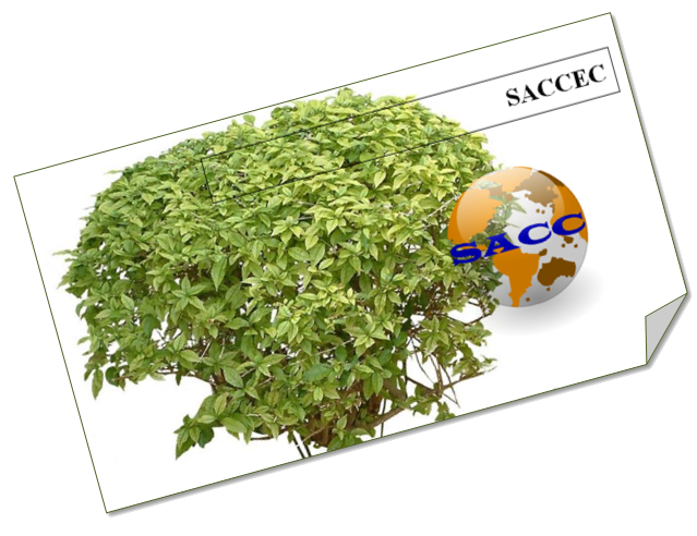 SACCec